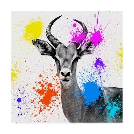Philippe Hugonnard 'Antelope Reedbuck III' Canvas Art,24x24
